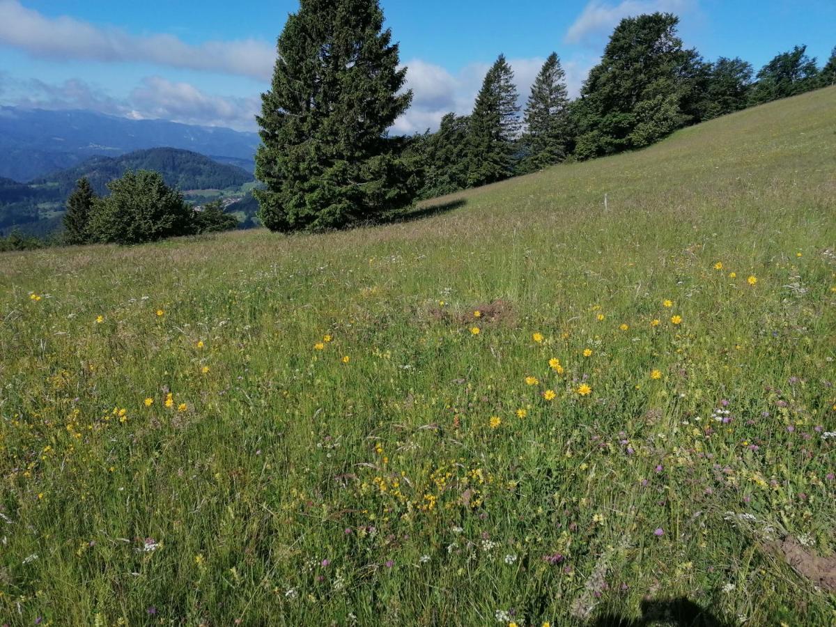 Apartma Na Ravnicah Cerkno Exterior foto